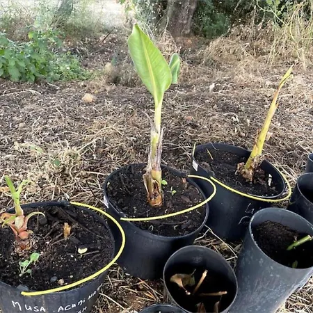 Prázdninový dům Quinta Do Coelhoazul