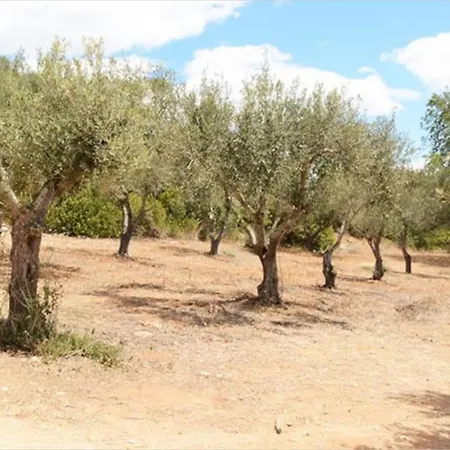 Quinta Do Coelhoazul * Quelfes
