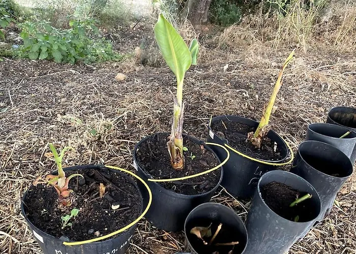 Prázdninový dům Quinta Do Coelhoazul Quelfes