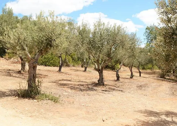 Quinta Do Coelhoazul * Quelfes