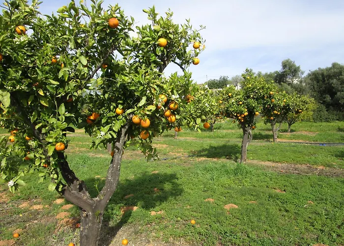 Prázdninový dům Quinta Do Coelhoazul
