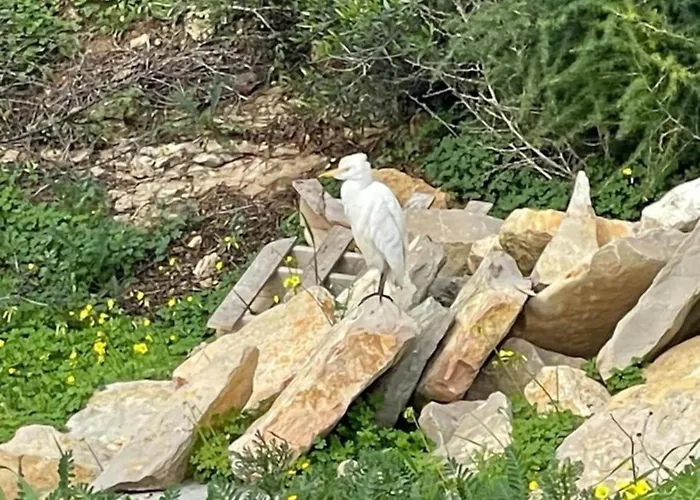 Prázdninový dům Quinta Do Coelhoazul *