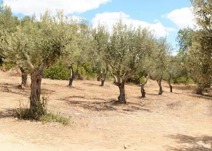 Quinta Do Coelhoazul * Quelfes