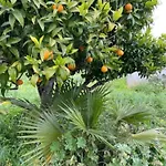 Quinta Do Coelhoazul Feriehus Quelfes