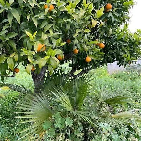 Quinta Do Coelhoazul *