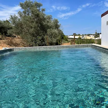 Quinta Do Coelhoazul Tatil Evi Quelfes