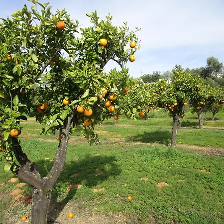 Feriehus Quinta Do Coelhoazul
