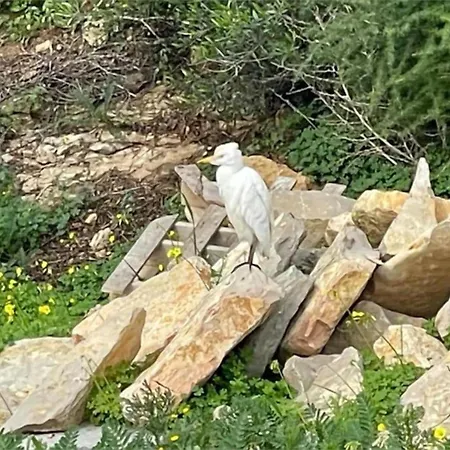Feriehus Quinta Do Coelhoazul *