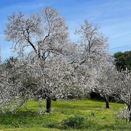 Quinta Do Coelhoazul Feriehus Quelfes