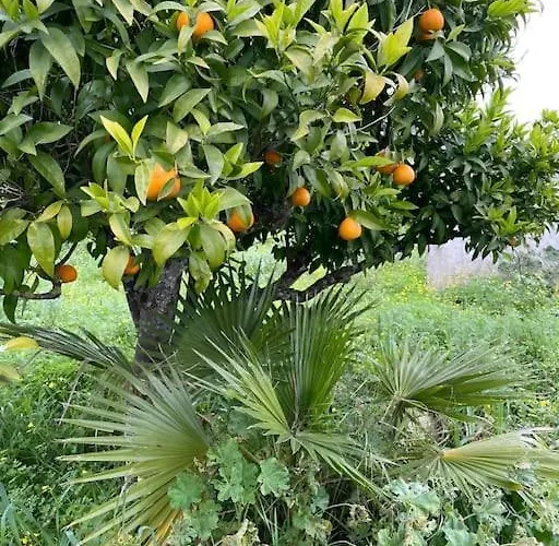 Quinta Do Coelhoazul *