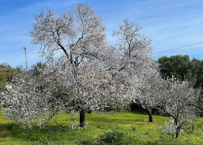 Quinta Do Coelhoazul 別荘 Quelfes