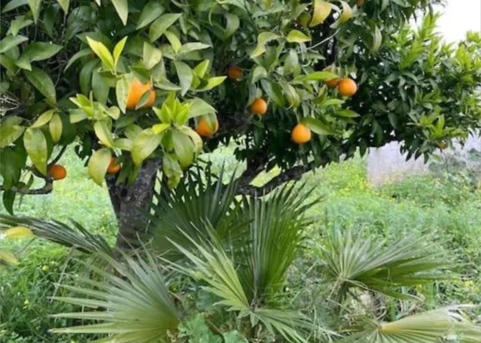 Quinta Do Coelhoazul 別荘 Quelfes