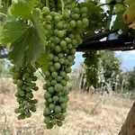 度假居 Quinta Do Coelhoazul Quelfes